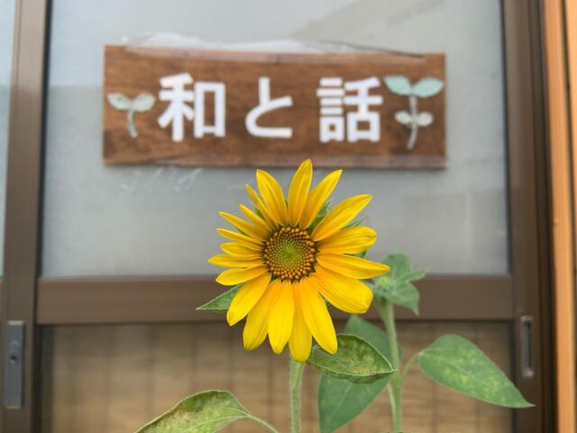 こんにちは！箕面市にあります、生活介護事業所 和と話(わとわ)です😊なんと！みんなが待ち望んだ✨ひまわり🌻第一号が咲きました💓春に種蒔きした植物や野菜が、どんどん大きくなっています☺️雨の日も晴れの日も、毎日見るたびに、楽しい👏🏻✨明日から海の日を入れて3連休ですね、皆さま良い連休をお過ごしください🌏🎶#和と話 #生活介護事業所 #福祉 #障がい福祉 #ウェルビーイング #箕面市 #牧落 #箕面すたぐらむ #コミュニティスペース #ひきこもり #園芸 #笑顔 #仲間 #自立 #居場所 #私は私#コミュニケーション #社会参加 #ライフデザイン #サスティナブル #sdgs #環境浄化 #土 #野菜 #em菌 #微生物 #プランター栽培 #固定種 #ひまわり #地球 🌏メンタルとカラダが元気になるベースを毎日オモシロイ仲間と笑顔でつくっています😊🏠和と話より